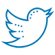 icons8-twitter-small
